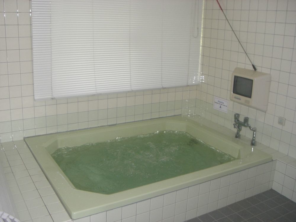 Nagomi-Tei Hotel Хакуба Екстериор снимка